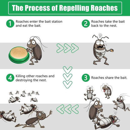 🚫 Cockroach Killer Gel (Pack of 2/4/8) QuickKill Formula | Long-Lasting Roach Control